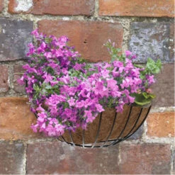 Hozelockes Zone 15 16" Smart Wall Basket