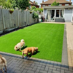 Easigrass - Belgravia M2 -Hozelockes Zone belgravia 2 00070.1662993687