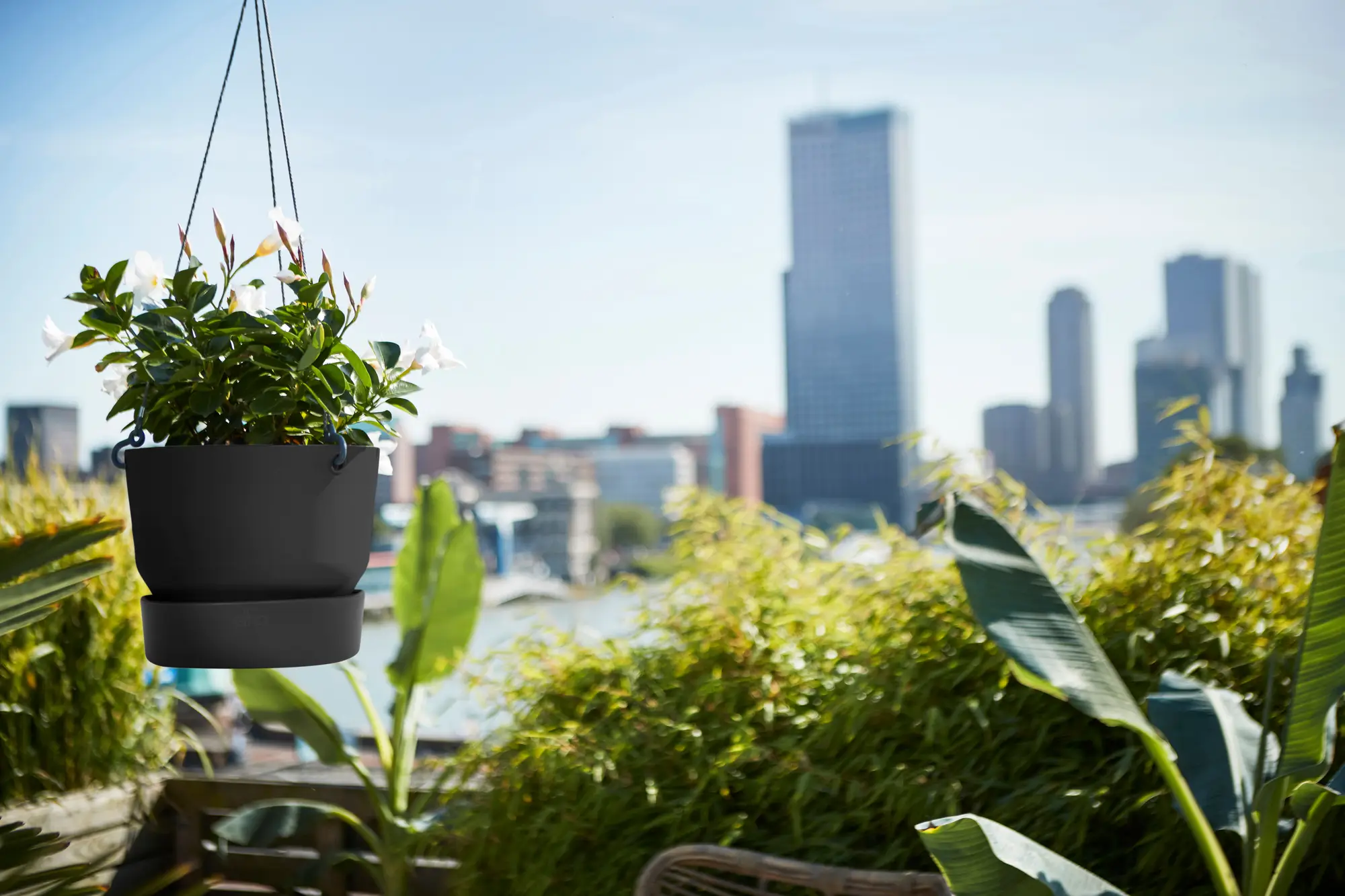 Hozelockes Zone 2 Hozelockes Zone -Hozelockes Zone greenville hanging basket living black.i1